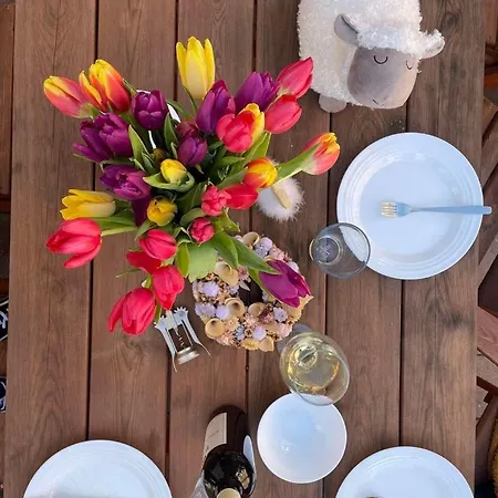 Vöröskő Villa- Alelnöki Szauna és Jakuzzi Használattal